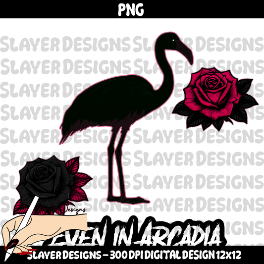 SLAYER-2025 - Black Flamingo - PNG